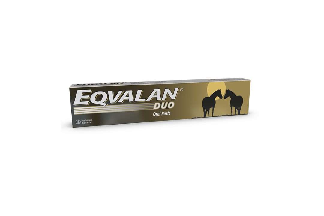 Eqvalan Duo packaging